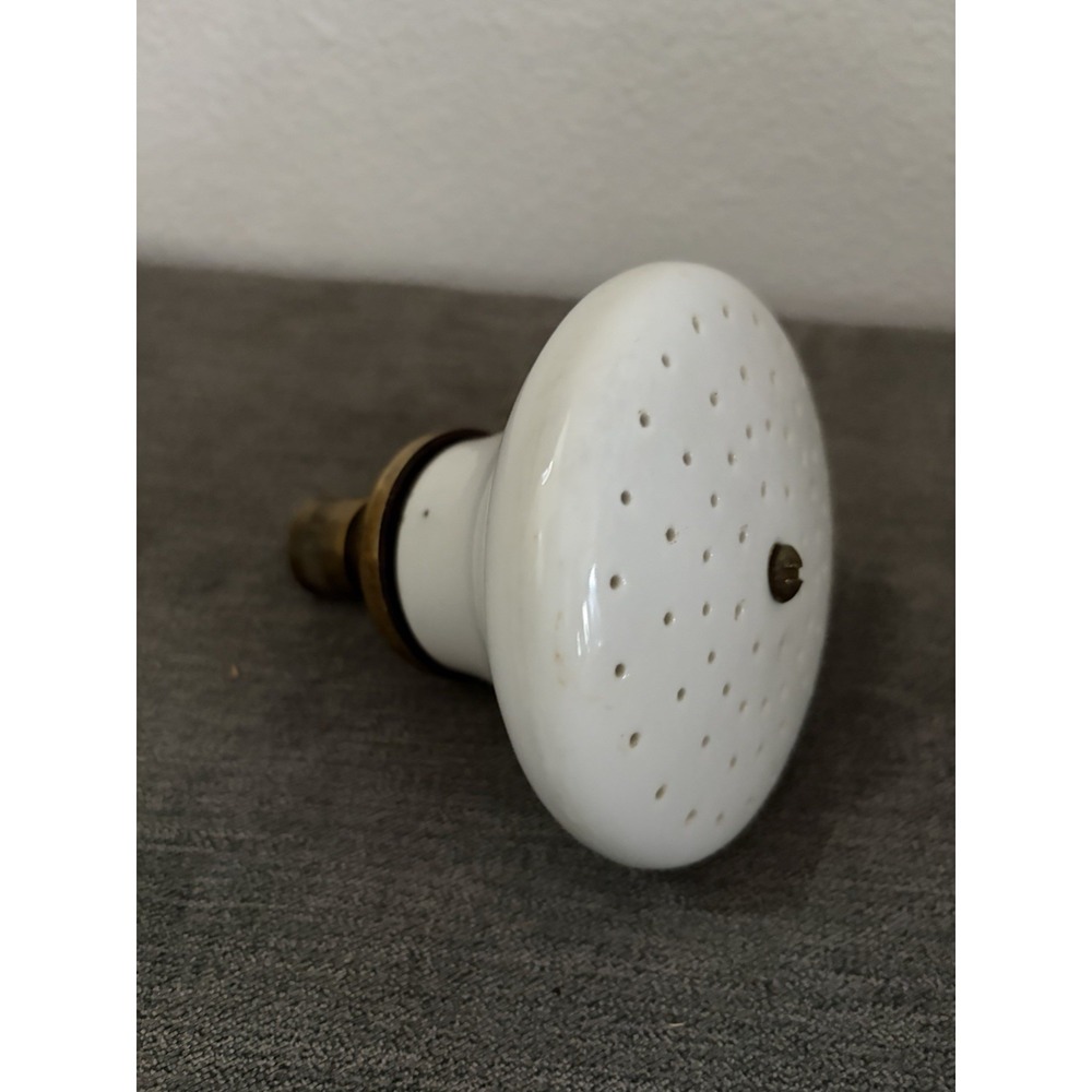 Antique Adjustable Shower Head 4" White Porcelain & Brass